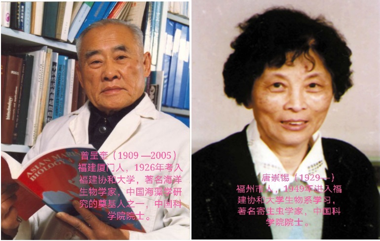 1626772434505192.jpg 4.jpg