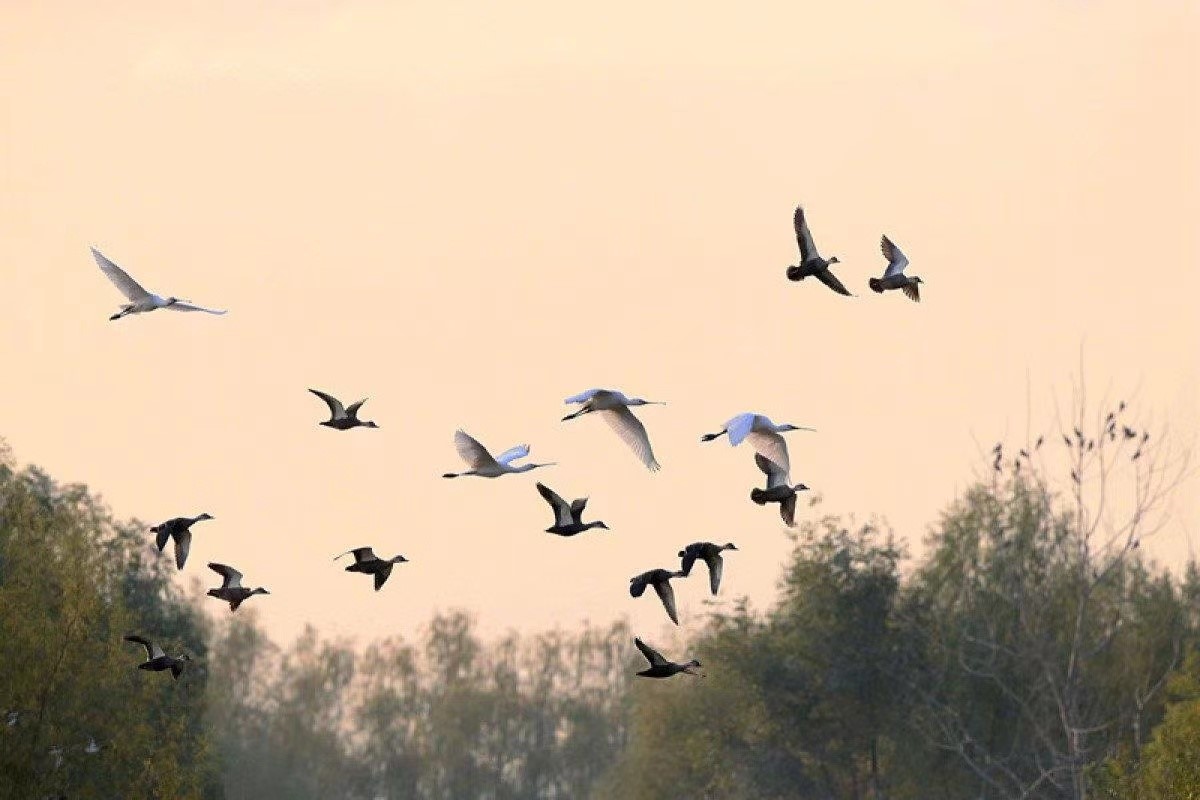 1668735595139181.jpg 配图.jpg