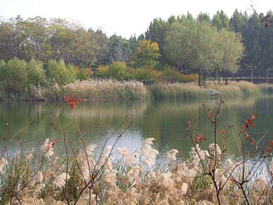 1668735633583111.jpg 配图2.jpg