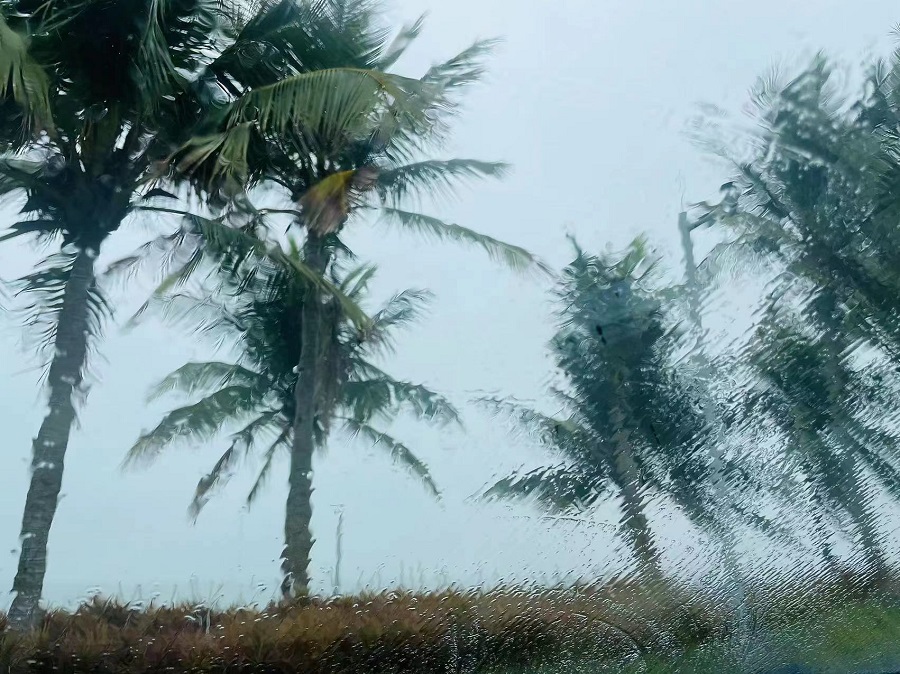 1674835983982868.jpg 3.jpg