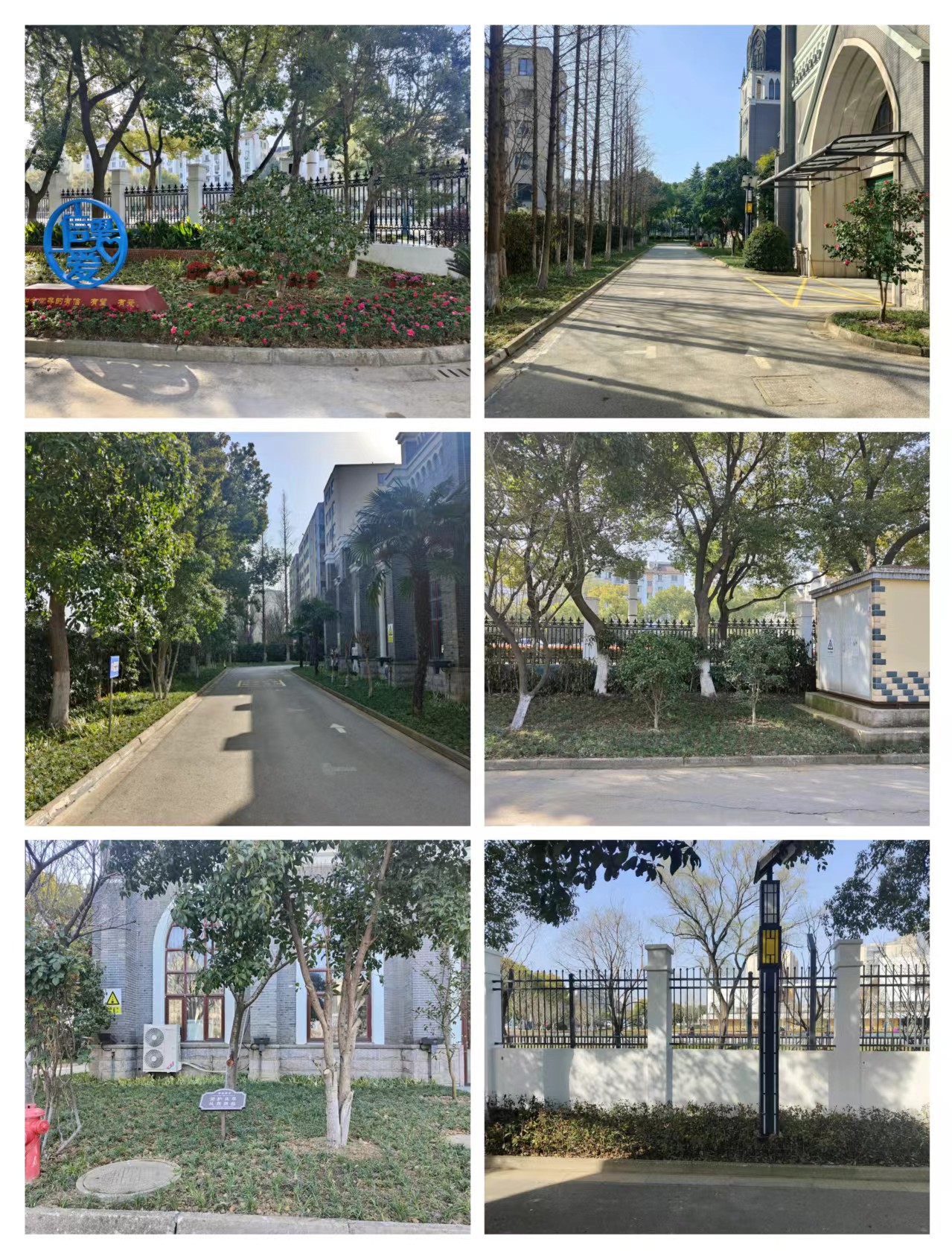 1711002707668355.jpg 苏州狮山基督教堂进行绿化改造工程.jpg