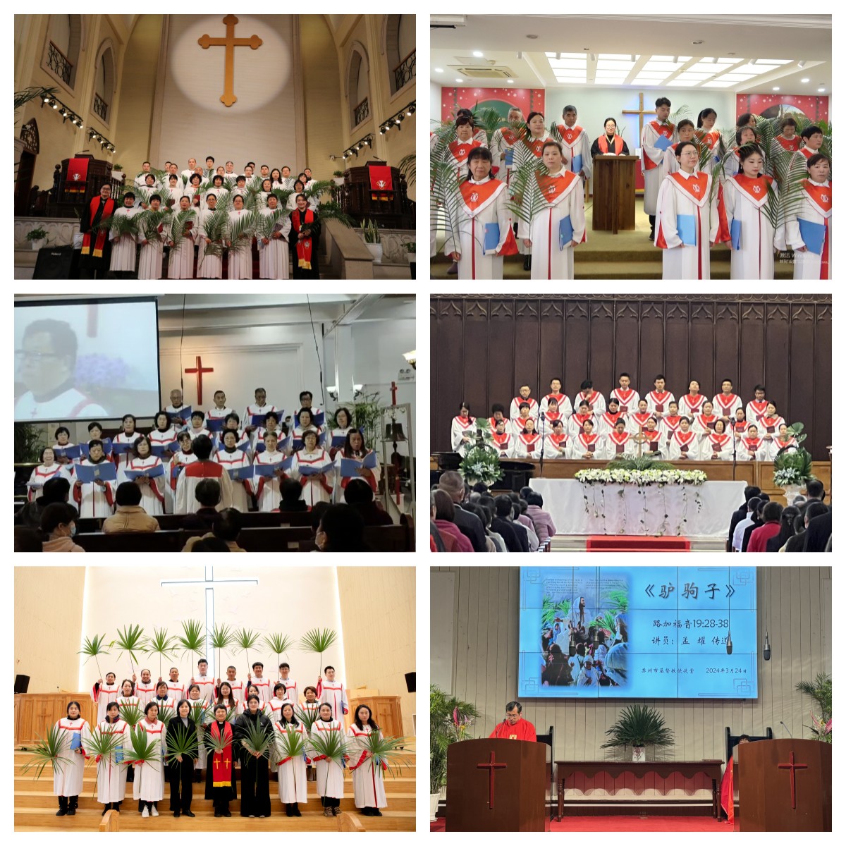 1711501551695777.jpg 拼图1.jpg