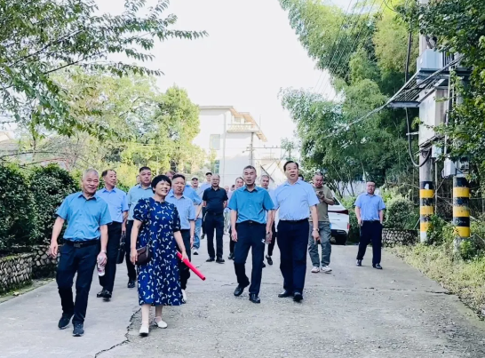 1725430050255156.png image.png