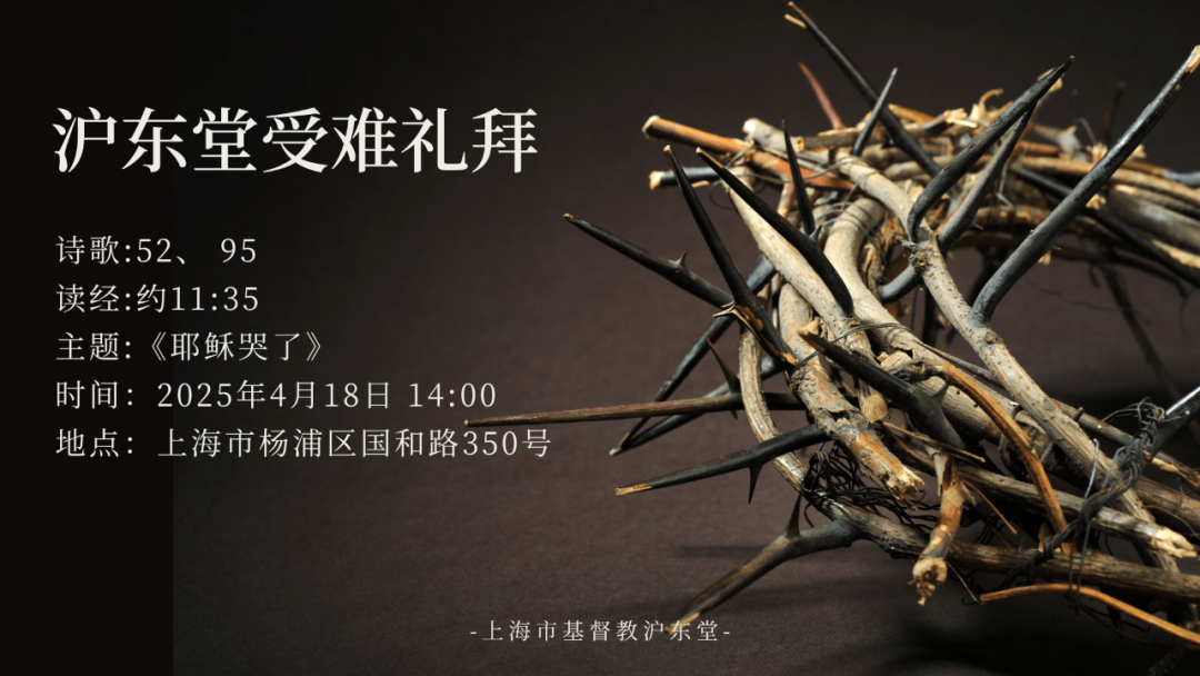 1744765644627579.png 上海沪东堂.png
