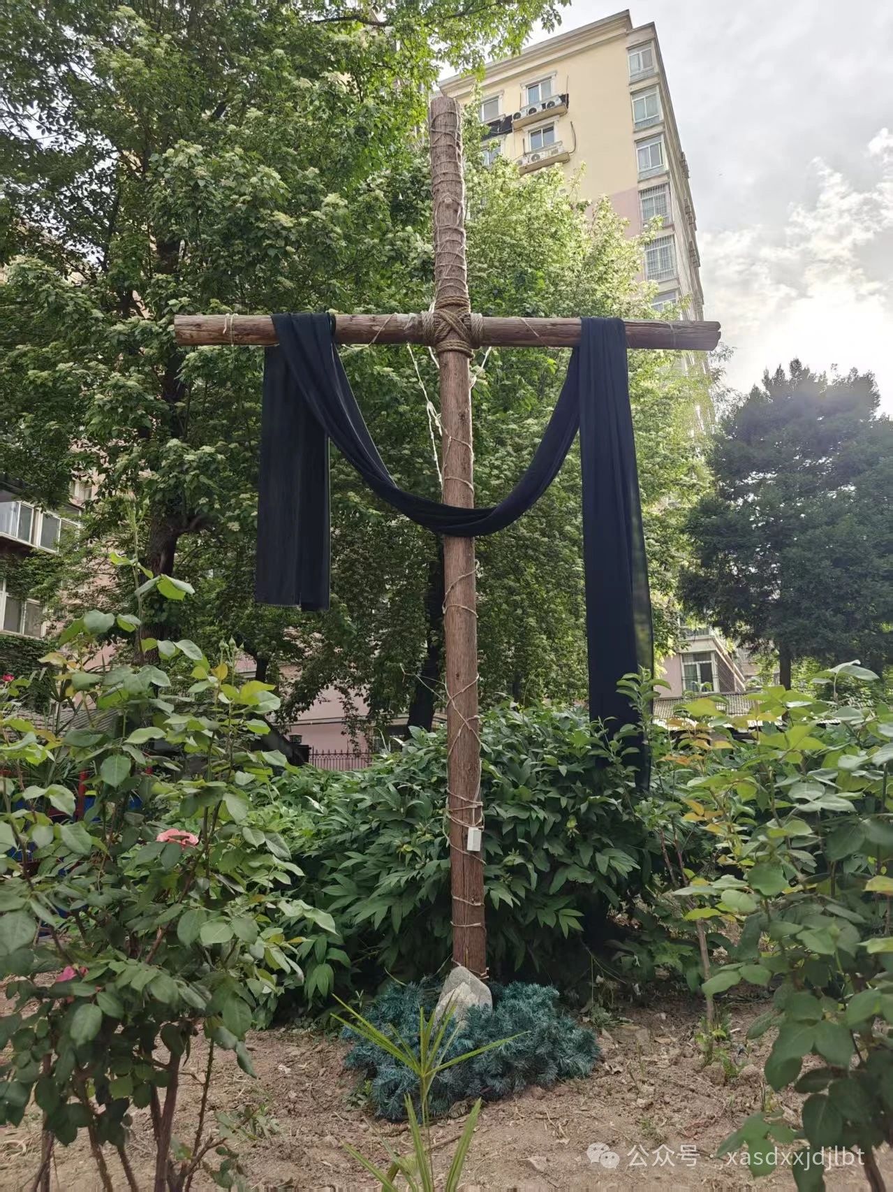 1744965645594554.jpg 4.jpg