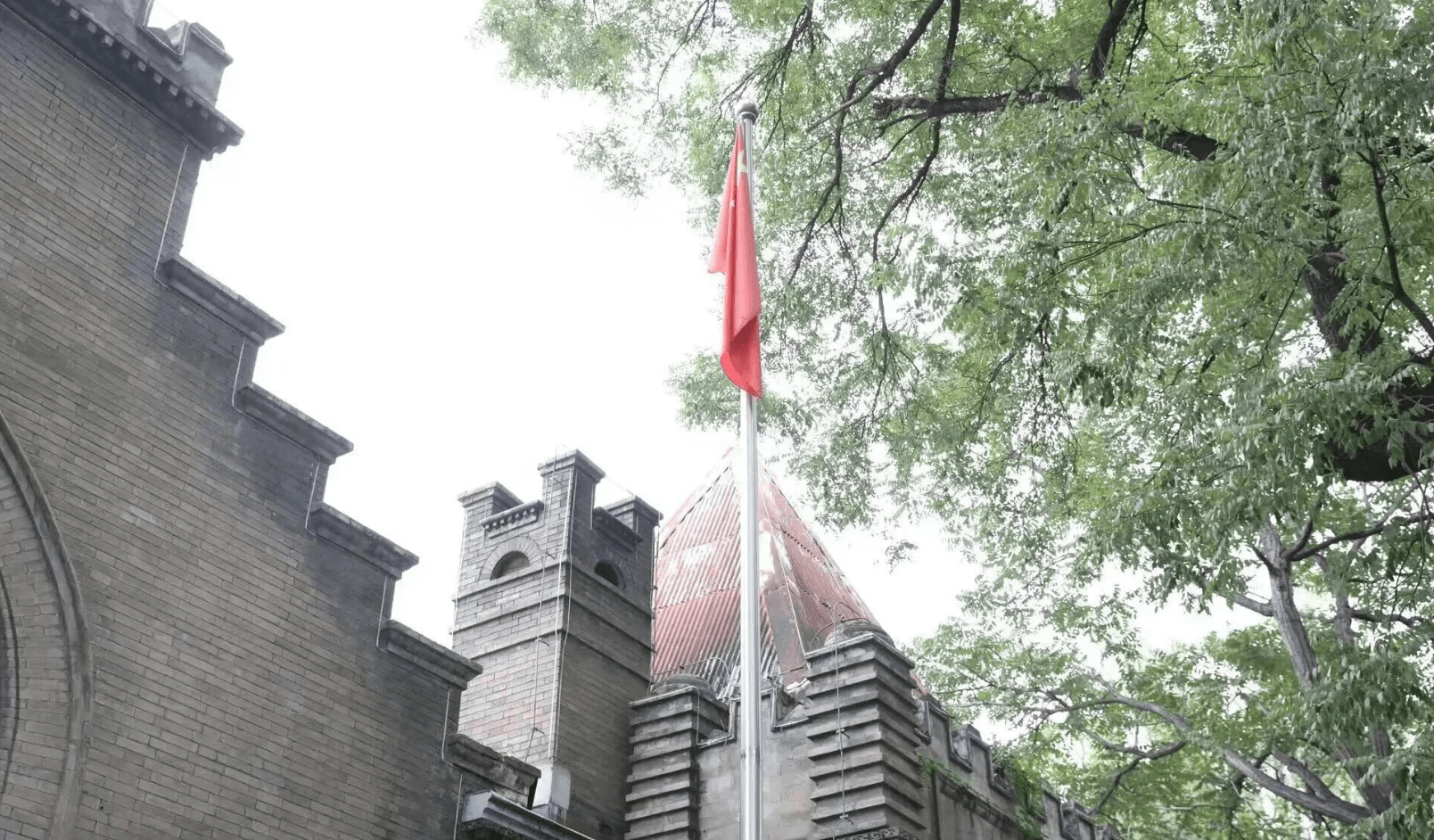 Screenshot 2025-10-08 at 9.35.03 am.png