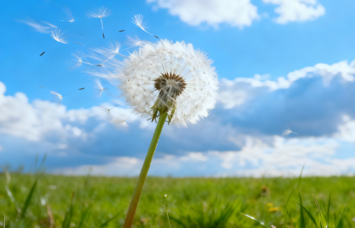 我成了欠福音债的人