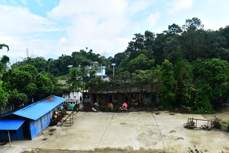 培训中心的环境.jpg 培训中心的环境.jpg