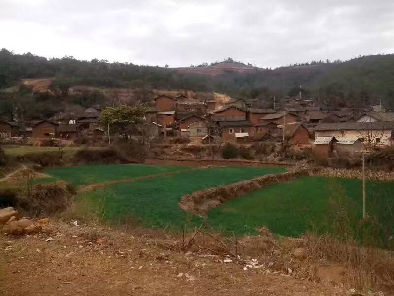 WechatIMG82.jpeg WechatIMG82.jpeg