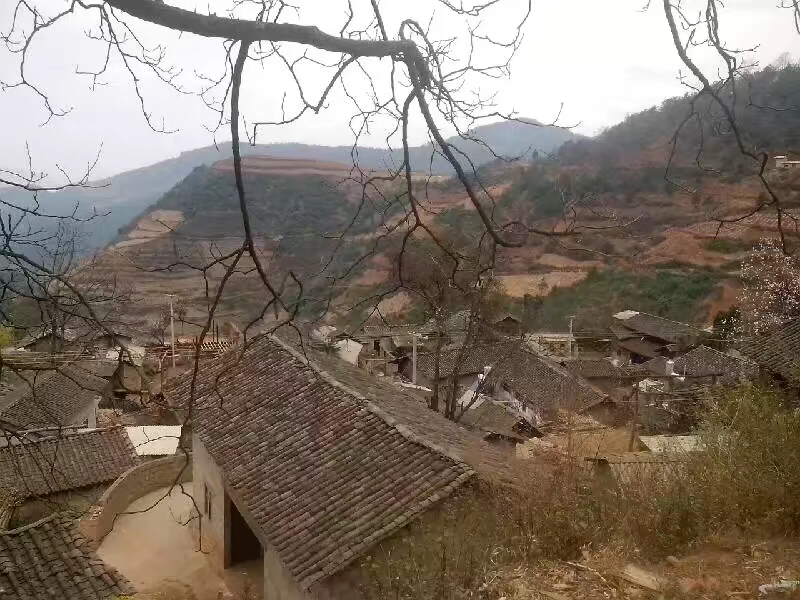 WechatIMG83.jpeg WechatIMG83.jpeg