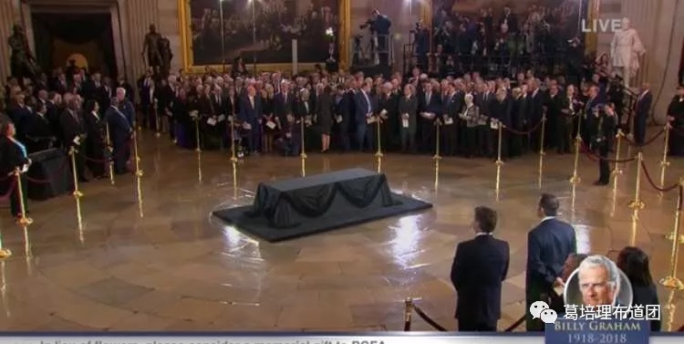 jiuwei.webp.jpg jiuwei.webp.jpg