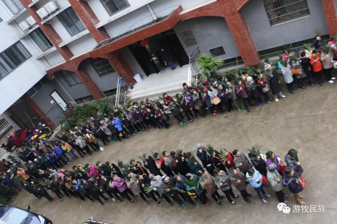 WeChat Image_20190415115650.jpg