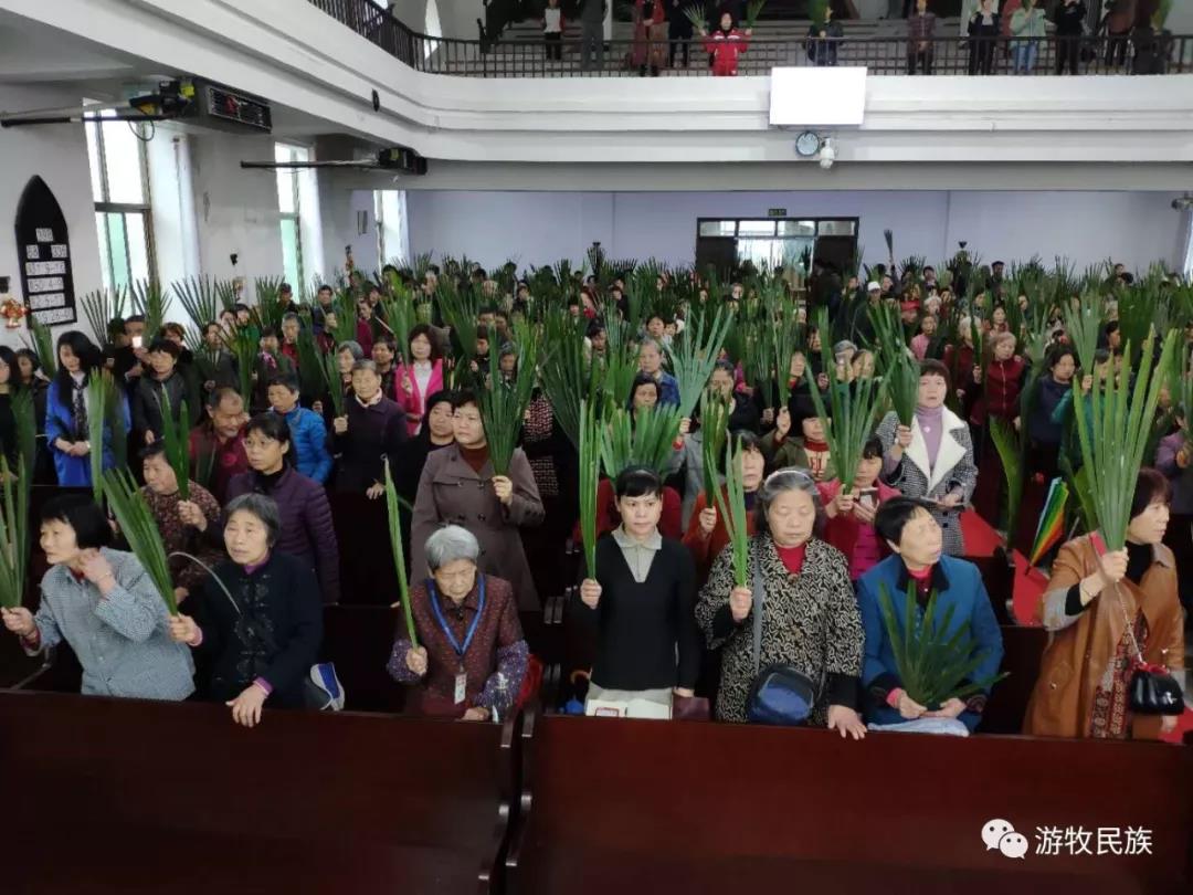 WeChat Image_20190415115734.jpg