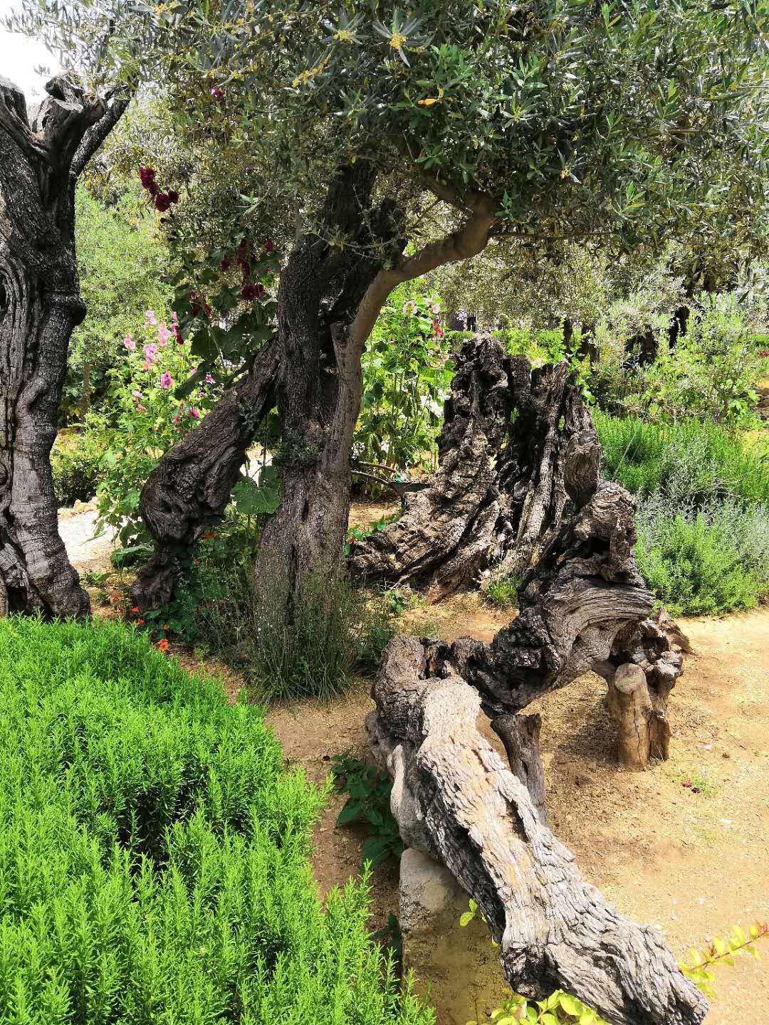 微信图片_20190604000308.jpg 微信图片_20190604000308.jpg