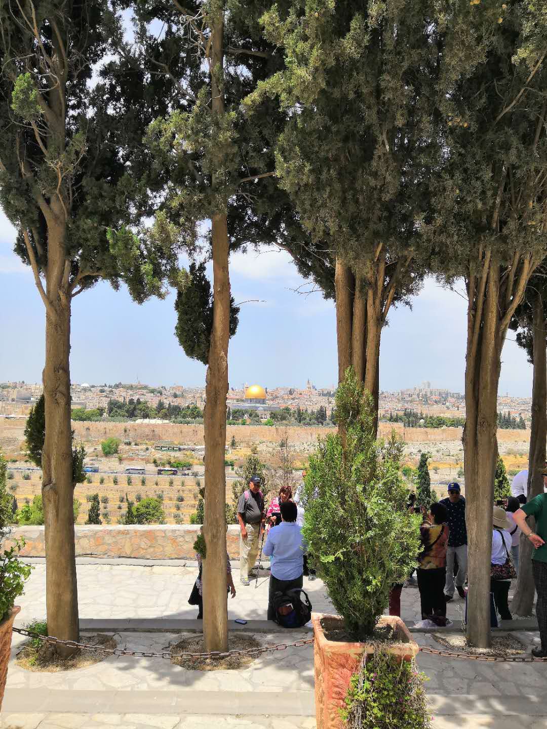 微信图片_20190604000312.jpg 微信图片_20190604000312.jpg