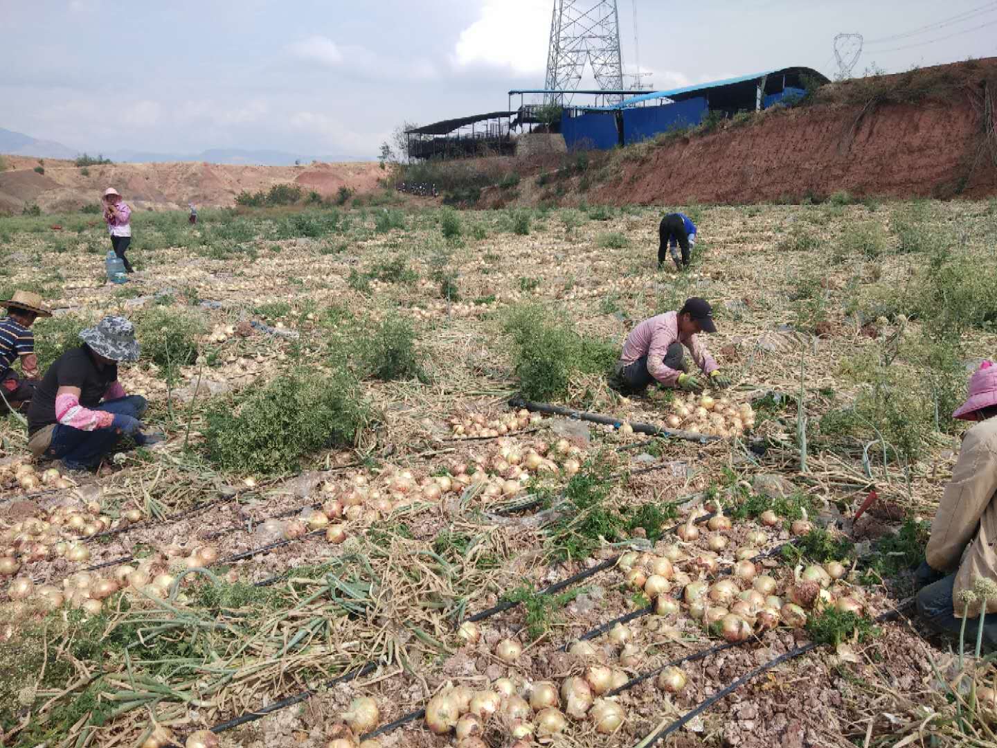 微信图片_20200423155218.jpg 微信图片_20200423155218.jpg