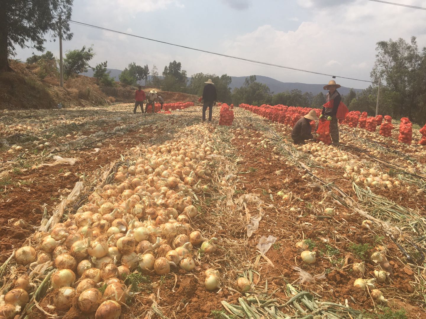 微信图片_20200423155224.jpg 微信图片_20200423155224.jpg