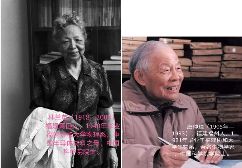 1626833467737403.jpg 5.jpg