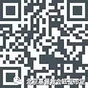 1642398979778057.jpg 640.webp (15).jpg