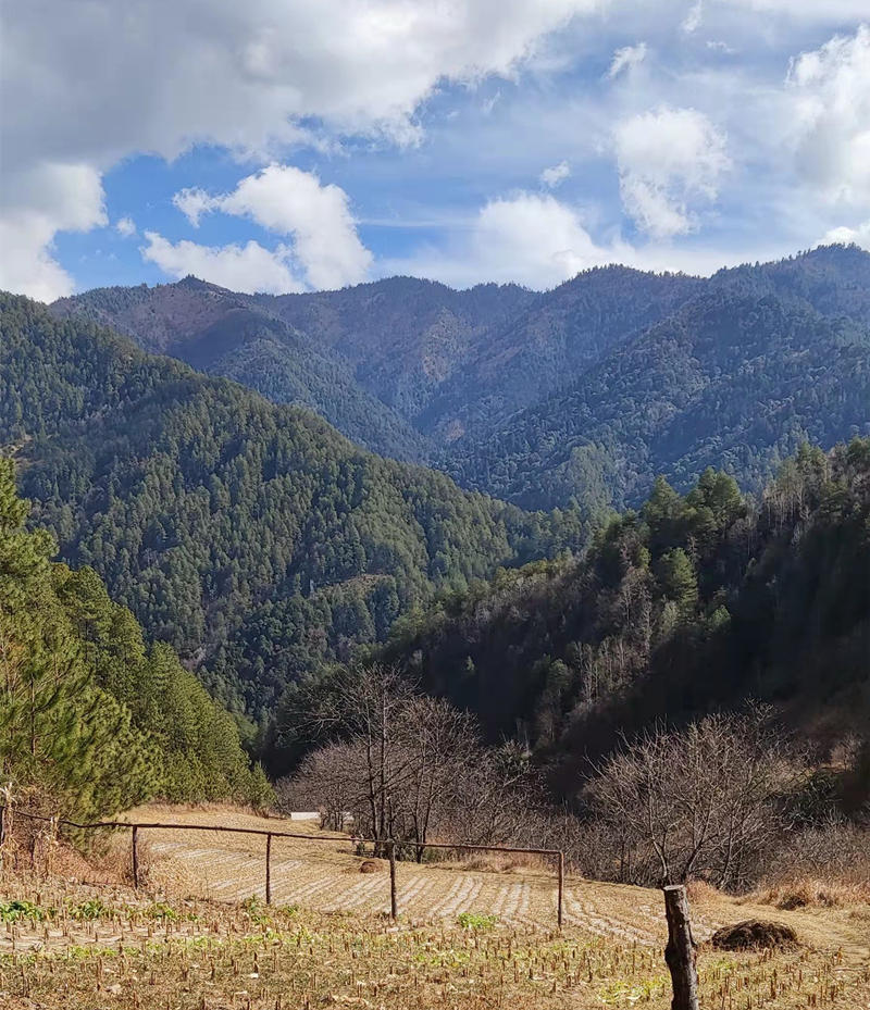 1643364781747224.jpg 微信图片_20220128180932.jpg