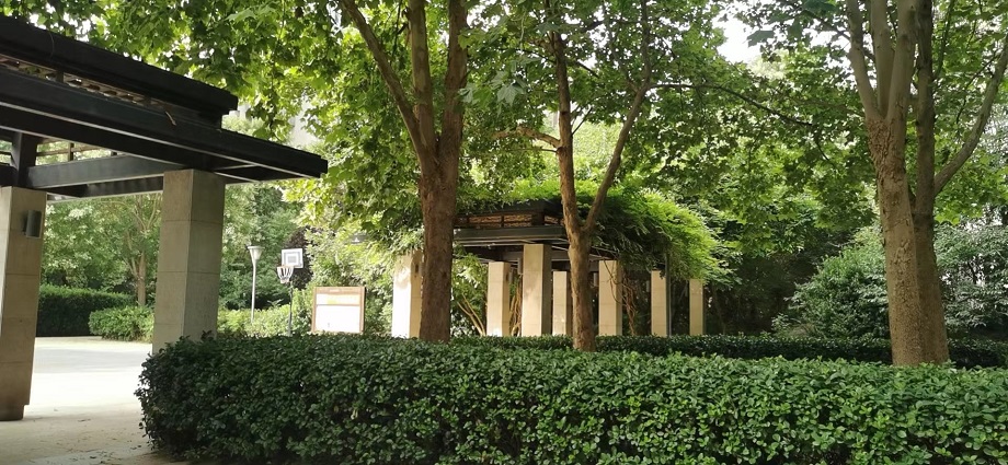 1672495131741572.jpg 照片.jpg