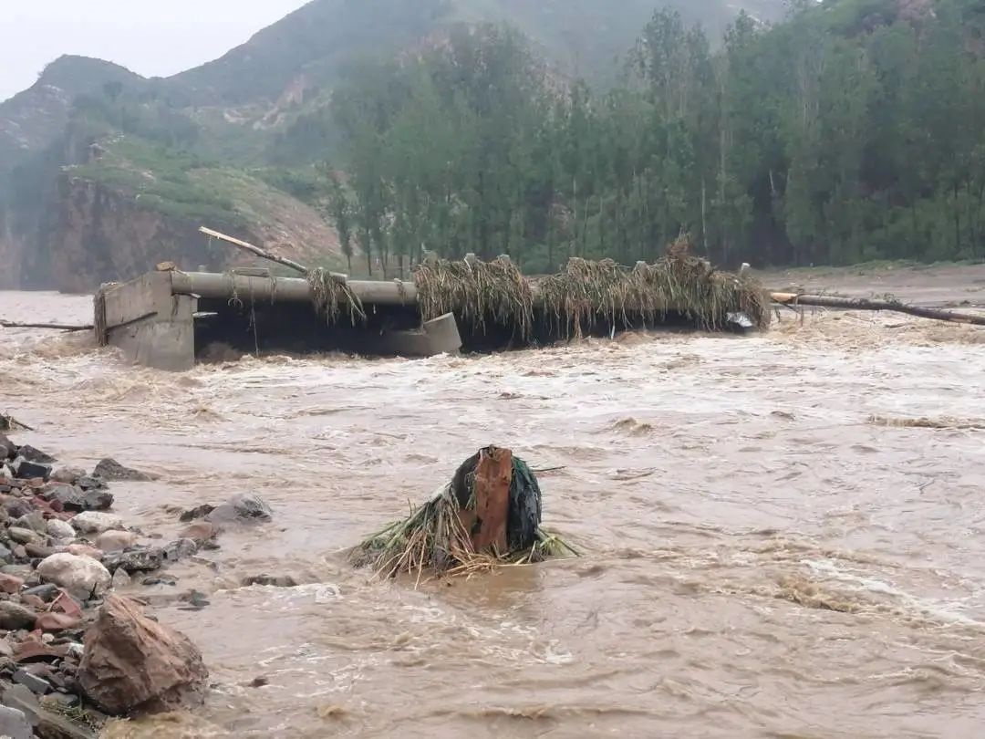 1690937796827875.jpg 1.jpg