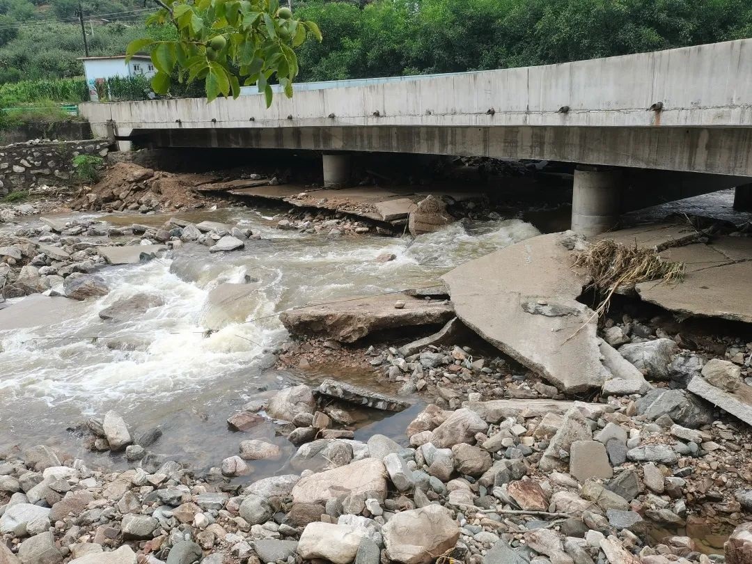 1690937806133892.jpg 2.jpg