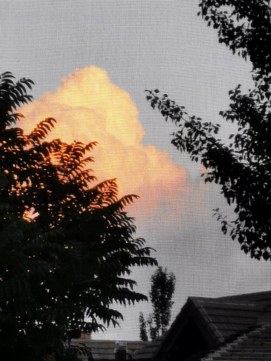 1691476759442122.jpg 图片2.jpg