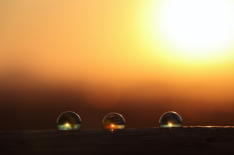 1700034006884217.jpg 露珠.jpg