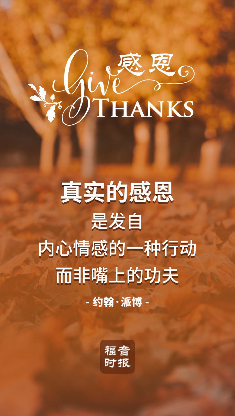 1700720074840768.jpg 6.jpg