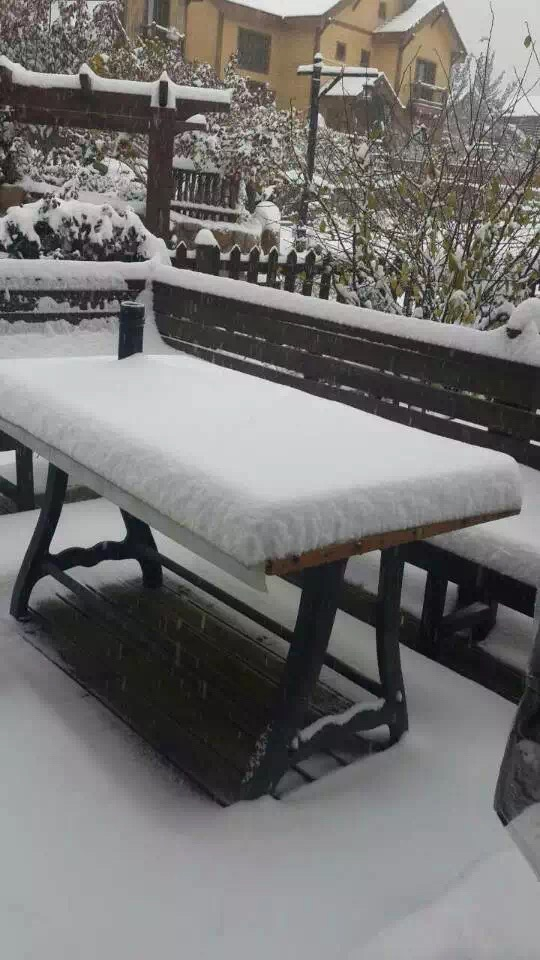 1704177533426440.png 图片1.png