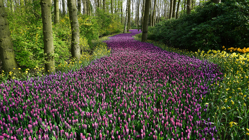 1710902289255499.png 春.png