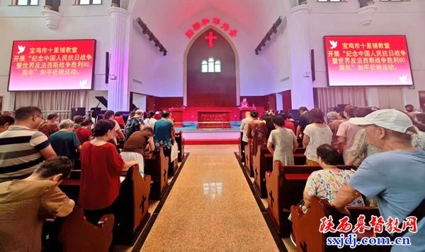 1755575500347128.jpg 金台9.jpg