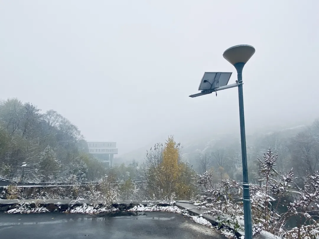 1760797916725962.jpg 1760797916725962.jpg