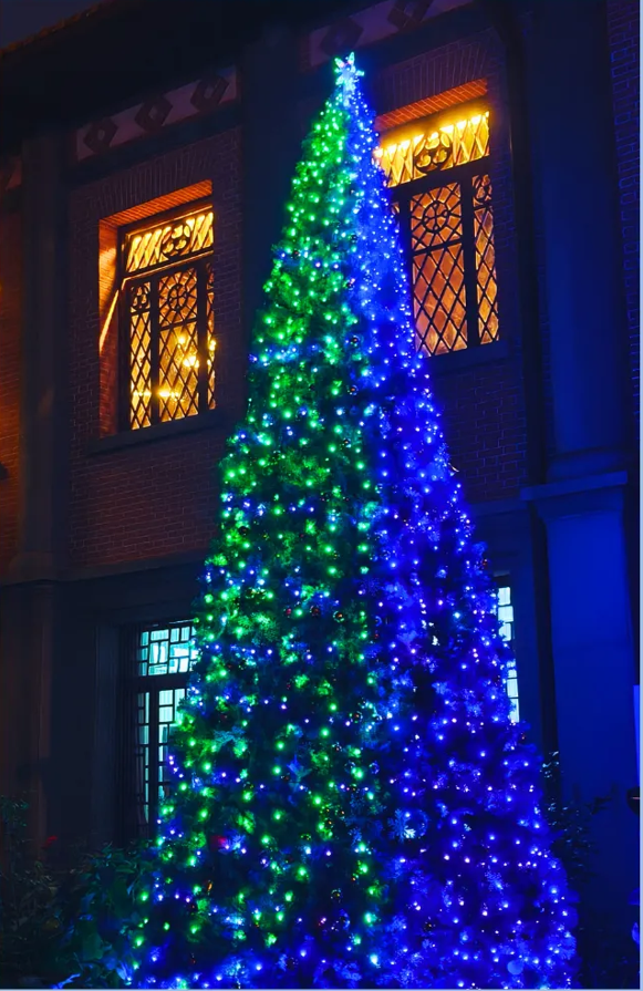 1765781569651023.png image.png